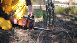 Soil Testing and Treatment in Notre Dame, IN